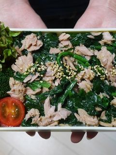 レンジで簡単★ほうれん草とツナの丼弁当-レシピのメイン写真