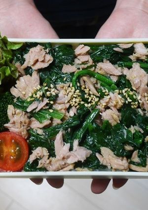 レンジで簡単★ほうれん草とツナの丼弁当-レシピのメイン写真