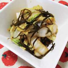 รูปของ ご飯のおともに！超簡単！塩昆布白菜