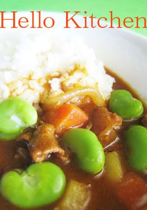 すぐおいしい！焼肉カレー-レシピのメイン写真