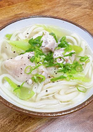 旨出汁で♡鶏塩ネギうどん-レシピのメイン写真