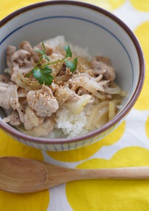 玉ねぎ&豚肉だけ★簡単あっさり塩豚丼-レシピのメイン写真