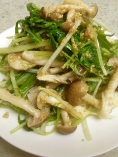 レンジで簡単!水菜としめじのごま和え-レシピのメイン写真