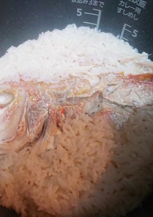 市販の塩ダレを使って～簡単鯛めし-レシピのメイン写真