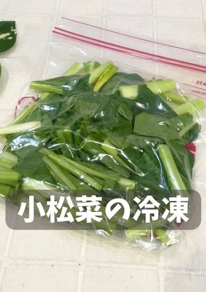 小松菜の冷凍-レシピのメイン写真