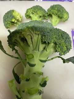 ブロッコリーの芯-レシピのメイン写真