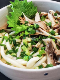 たっぷりキノコのウマウマ塩うどん-レシピのメイン写真