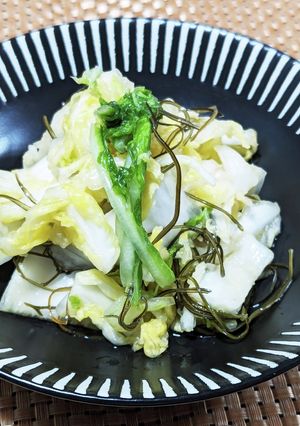 白菜大量消費！白菜のさっぱり浅漬け-レシピのメイン写真