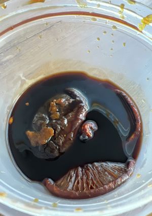 手作りポン酢-レシピのメイン写真