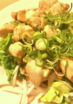 ノンオイル●鶏肉のめんつゆネギ炒め-レシピのメイン写真