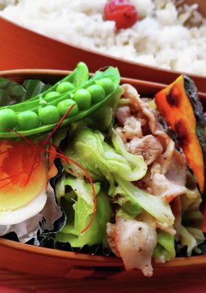 豚こま&キャベツ旨塩ダレ☆メイン☆お弁当-レシピのメイン写真