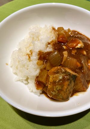 【災害時の食事】ふくろカレー-レシピのメイン写真