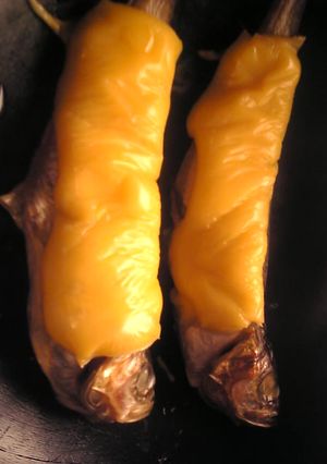 ハタハタのチェダーチーズ焼き-レシピのメイン写真
