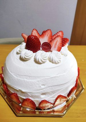 かんたん！絶品ズコットケーキ-レシピのメイン写真