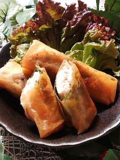 ささみしそ春巻き-レシピのメイン写真