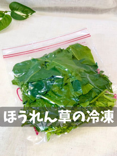 ほうれん草の冷凍-レシピのメイン写真