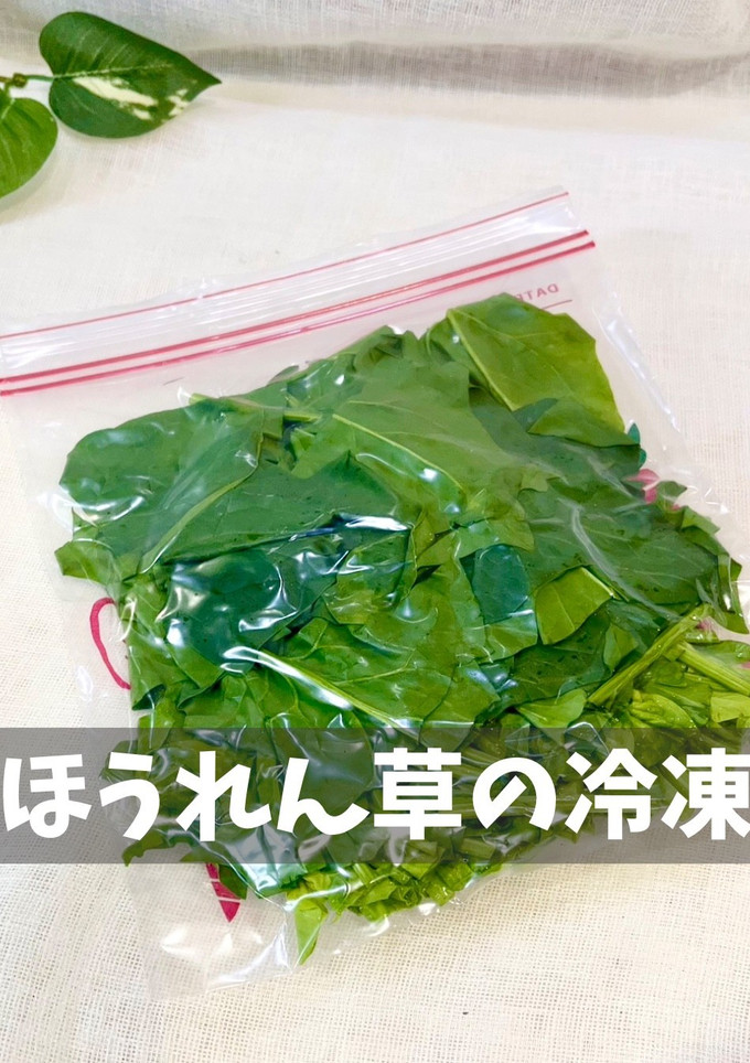 ほうれん草の冷凍-レシピのメイン写真