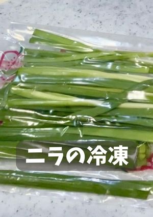 ニラの冷凍-レシピのメイン写真