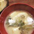 キャベツの外側の葉捨てないで!お味噌汁