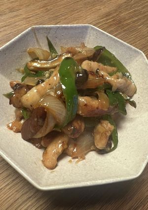 塩麴の青椒肉絲-レシピのメイン写真