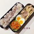 男子中学生のお弁当 246