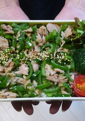 電子レンジで簡単★ピーマンとツナの丼弁当-レシピのメイン写真