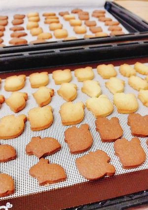 簡単に大量クッキー プレーン&ココア-レシピのメイン写真