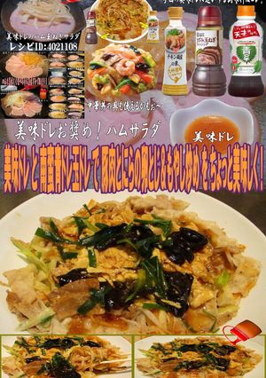 美味ドレ南蛮玉ドレ青ドレ卵とじ豚もやし炒-レシピのメイン写真