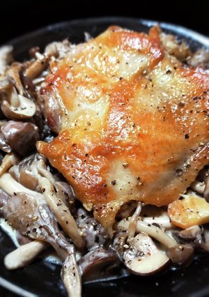 鶏のディアボラ風キノコのクリームソース-レシピのメイン写真