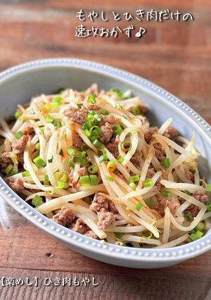 【楽めし】ひき肉もやし-レシピのメイン写真