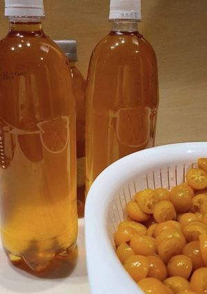 ダブルの美味しさ「キンカン酢&ドライ」-レシピのメイン写真