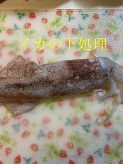 イカの下拵え-レシピのメイン写真