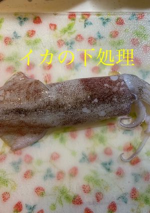 イカの下拵え-レシピのメイン写真