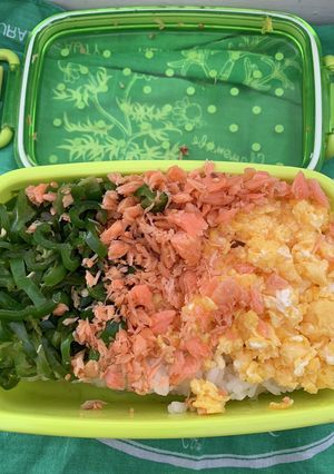 三色そぼろ弁当（20231218）-レシピのメイン写真