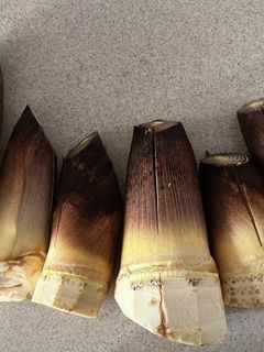 米ぬか無くても簡単♪ たけのこのアク抜き-レシピのメイン写真