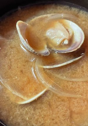 アサリと玉葱の味噌汁-レシピのメイン写真