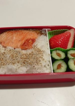 ラグビー小僧のお弁当231219-レシピのメイン写真
