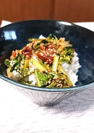 カブの葉と梅干しふりかけのふりかけご飯-レシピのメイン写真