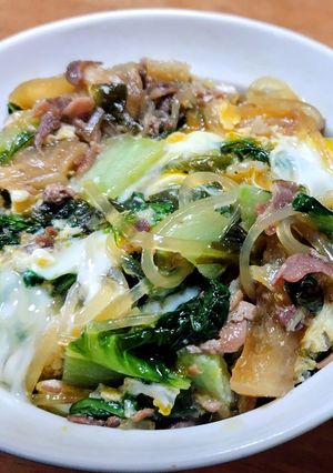 すき焼きの次の日の牛丼-レシピのメイン写真
