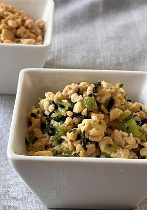 食べ過ぎリセット！チンゲン菜の豆腐そぼろ-レシピのメイン写真