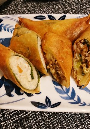 ゴーヤチーズ春巻＆鶏ひき海老大葉春巻-レシピのメイン写真