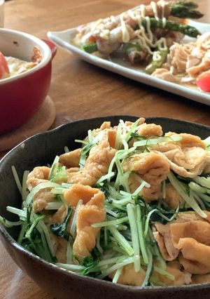 節約!!水菜と薄揚げのおひたし-レシピのメイン写真