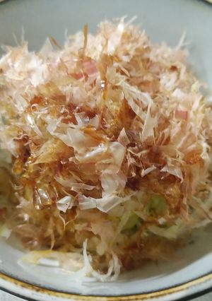 簡単すぎる！ねぎご飯-レシピのメイン写真