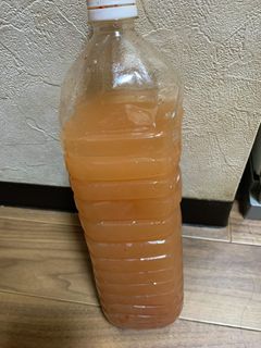 水キムチの素 自宅にある物でOK-レシピのメイン写真