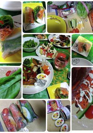 〜Saladサラダ生ハムいり生春巻き〜-レシピのメイン写真