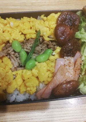 12月25日高校女子弁当（覚書）-レシピのメイン写真