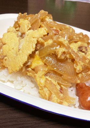 15分で！簡単玉子丼！！-レシピのメイン写真