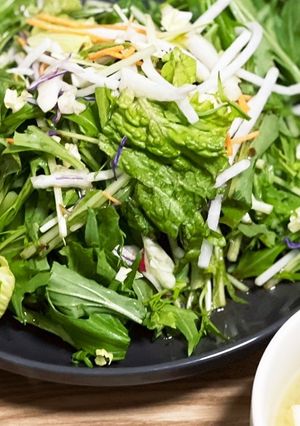 お肉の上にたっぷり野菜のせました!-レシピのメイン写真