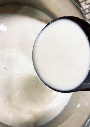 超濃厚鶏白湯スープ-レシピのメイン写真
