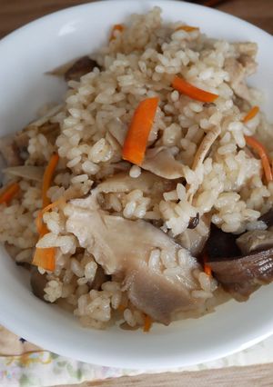 不器用鶏ごぼうシメジ舞茸ご飯-レシピのメイン写真